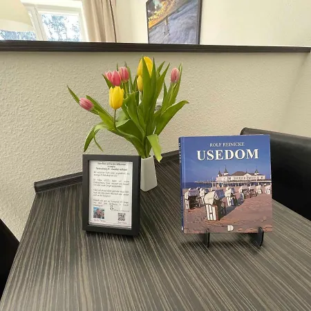 Ostseepark We 08 _insel Use * 泽姆平